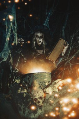 sihirli yemek kitabı