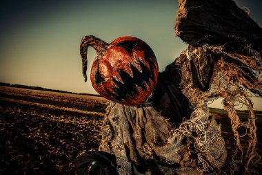 ürpertici kabak hayalet