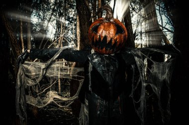 geleneksel korku kabak