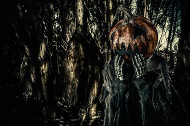 ormandaki kötülük