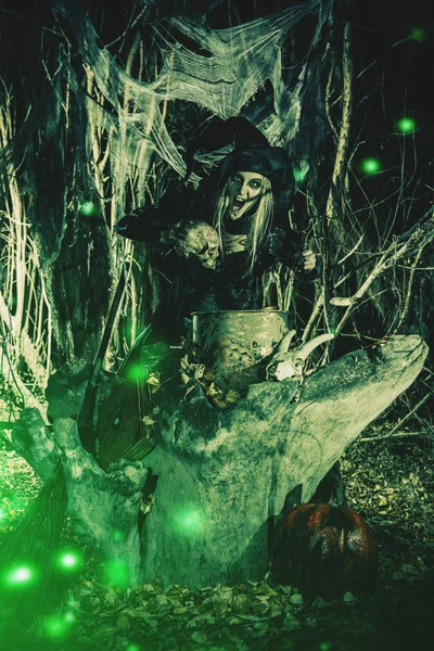 Yaşlı cadı aşçılar