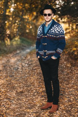 Sonbahar parkında yürüyorum