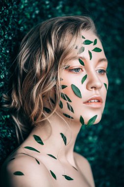 Doğal kozmetik konsepti