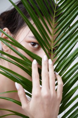 Yeşil çalılıkları içinde