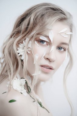 Krizantem yaprakları