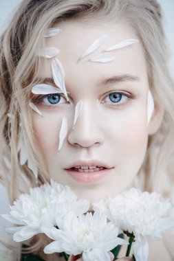 Krizantem yaprakları