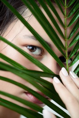 yeşil yaprak dışarı dikizlemek