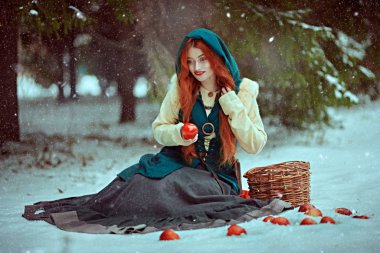 winter fairy tale clipart