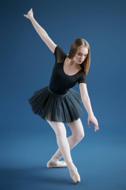 rafine kadın balerin.