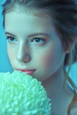 Beyaz şakayık çiçeği