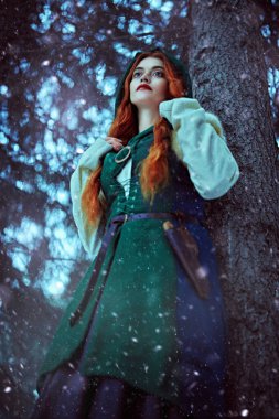 Kış ormanlarında yürüyorum