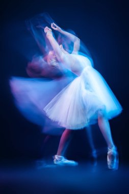 zarif Bale dansçısı