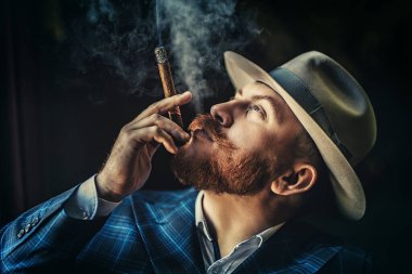 Klasik iç mekanda poz veren purolu düşünceli bir adamın portresi. Erkek güzelliği, moda, stil.