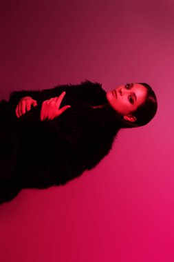 Güzellik, moda konsepti. Stüdyoda kırmızı ışıkta siyah kürklü poz veren çekici bir kadın model.. 