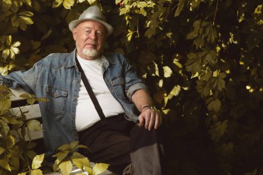 Bahçedeki bankta oturan düşünceli yaşlı bir adamın portresi. Kırsalda yaz tatili. Parkta boş zaman.