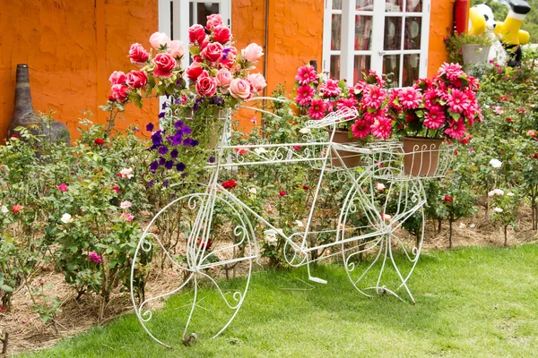 Decoración de bicicleta vintage con flor en el jardín — Foto de Stock