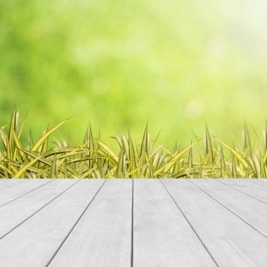 Doğal yeşil arkaplan