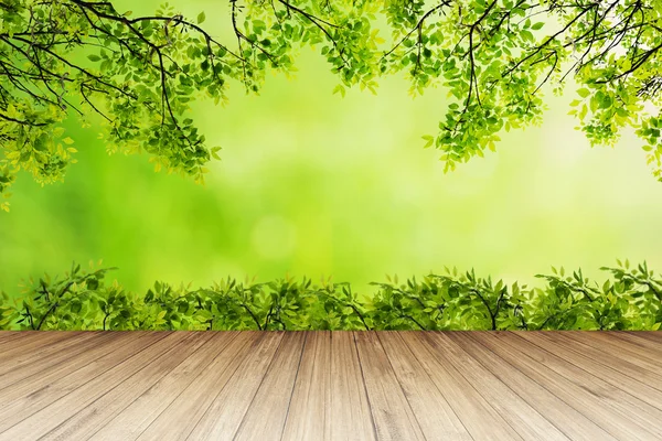 Nature background. Fresh green leaf with green bokeh and sunlight against wood floor. — Stock Photo, Image