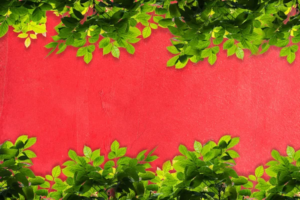Zelené listy rám proti červenou betonovou zeď — Stock fotografie