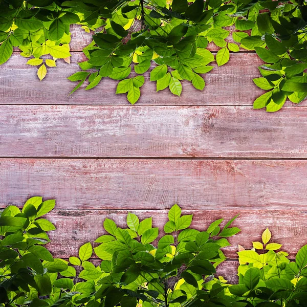 Dřevěný panel pozadí s rámečkem, čerstvé zelené trávy — Stock fotografie