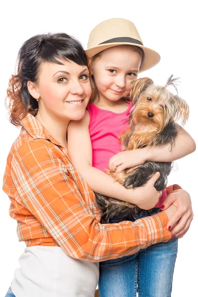 Happy parent family and a puppy Yorkshire Terrier on a white bac — Stock Photo, Image