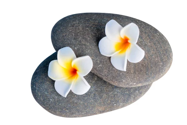 Piedras para tratamientos de spa y flores exóticas de cerca en blanco b —  Fotos de Stock