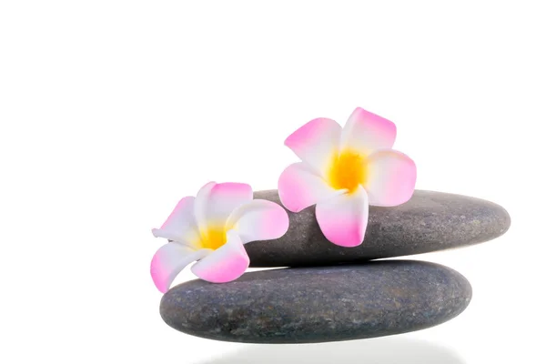 Flores e pedras lisas em um fundo branco isolado — Fotografia de Stock