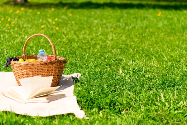 Basket for a picnic on the lawn and the free space on the right — Stock Photo, Image