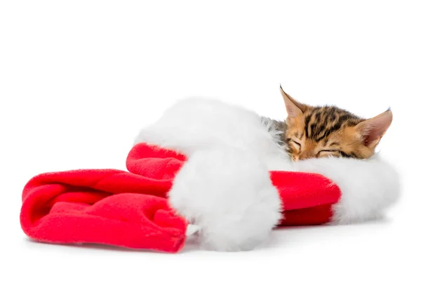 Rosso cappello di Natale e un gattino addormentato su sfondo bianco — Foto Stock