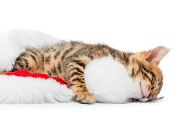 Пухнастий маленький кошеня втомився після гри і заснув — стокове фото