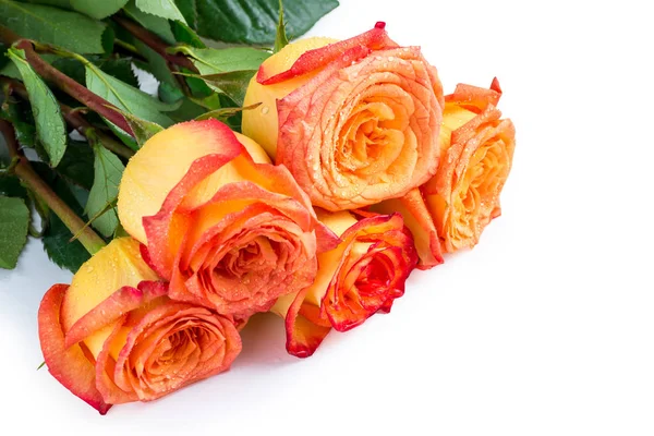 Rosas como regalo para su mujer favorita sobre un fondo blanco cl — Foto de Stock