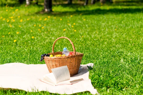 Picnic basket with fruit on a plaid in the summer park — Stock Photo, Image