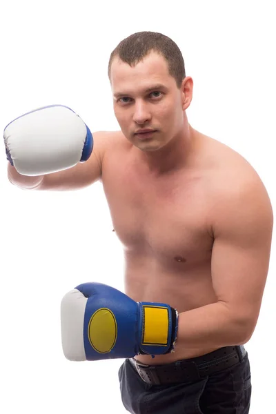 Boxer posiert mit Handschuhen auf weißem Hintergrund — Stockfoto