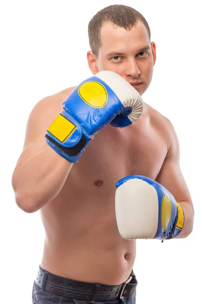 Pohledný mladý boxer v rukavicích na bílém pozadí — Stock fotografie