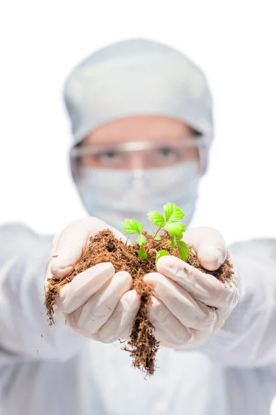 Laboratorium toont een kleine plant in de handen — Stockfoto