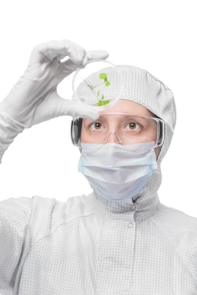 Retrato vertical do biólogo enquanto trabalhava com amostras de plantas — Fotografia de Stock