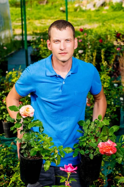 Ritratto verticale di un giardiniere con vasi di rose piantina — Foto Stock