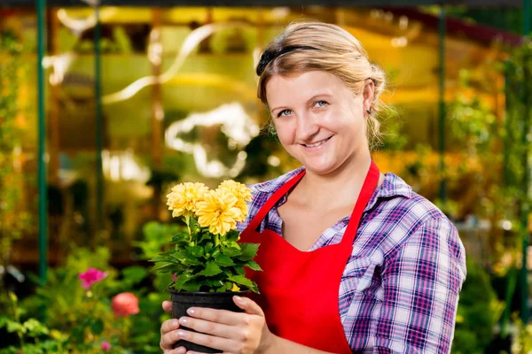 Portret van een bloemist in een schort met gele bloemen in een pot — Stockfoto