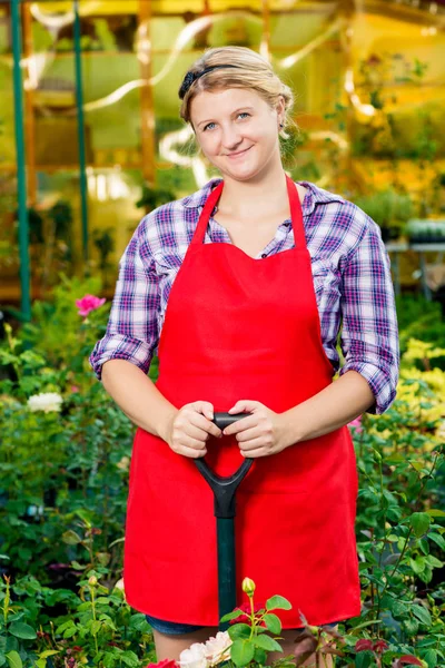 Woman in apron with a shovel in the greenhouse — Stock Photo, Image