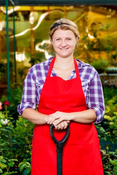 Happy girl in apron with a shovel in the greenhouse — Stock Photo, Image