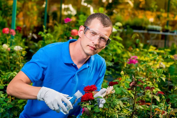 Kleur behandeling van chemische stoffen in een kas — Stockfoto