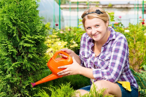 여자 정원사는 일회용에 식물을 급수 하는 물을 수와 함께 — 스톡 사진