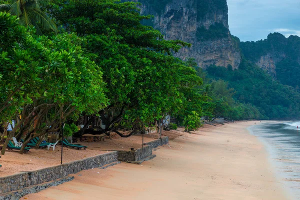 Árboles verdes en la orilla arenosa de Ao Nang Krabi Resort en Thaila — Foto de Stock