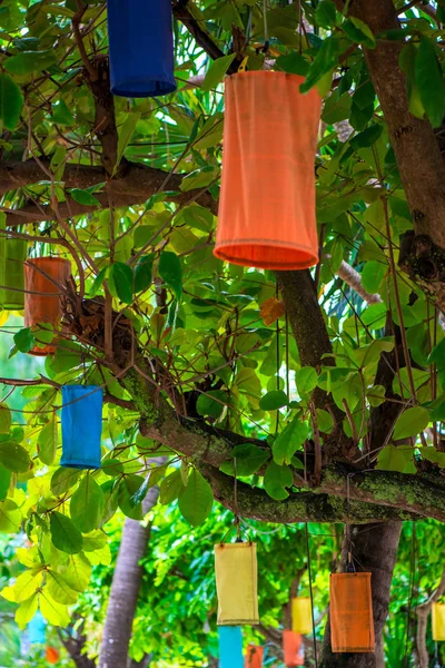 Multi-colored Asian lanterns hanging on trees for lighting at ni — Stock Photo, Image