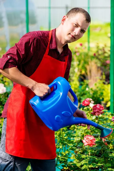 Portrait of a man with a blue watering can in a greenhouse — Stock Photo, Image