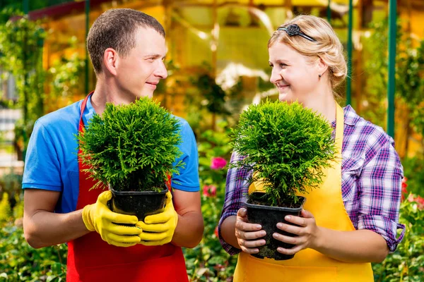 Kertészek palánták a kezükben egymásra nézni th — Stock Fotó