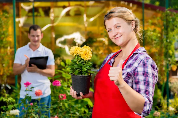 Los floristas exitosos jardineros son su propio negocio en la implementa — Foto de Stock