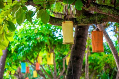 Asya ağaçlar yakın çekim asılı güzel fenerler