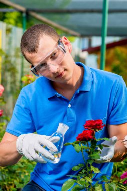 Biyolog bir tüp ile profesyonel çiçek bir örnek alır