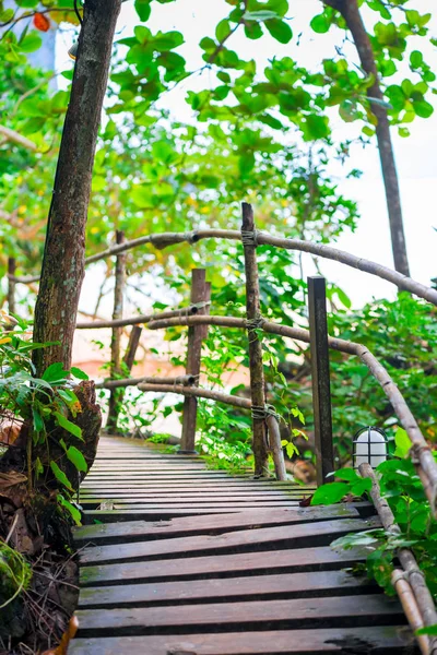 Drewniana ścieżka w górach Tajlandii — Zdjęcie stockowe